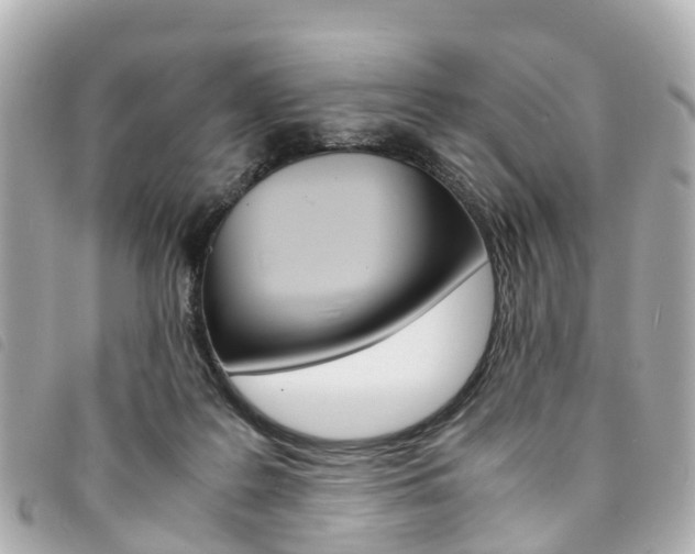 X0000094220219200710261000