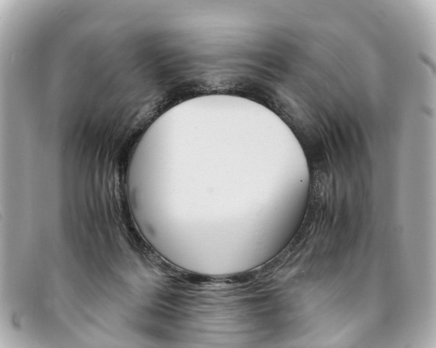 X0000094220220200710261000