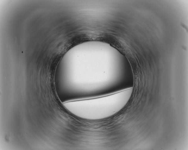 X0000094220221200710261000