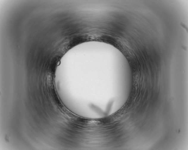 X0000094220222200710261000