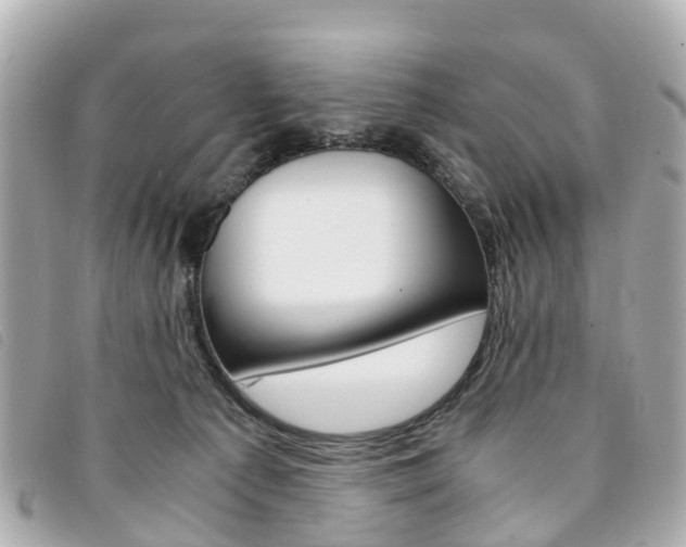 X0000094220225200710261000