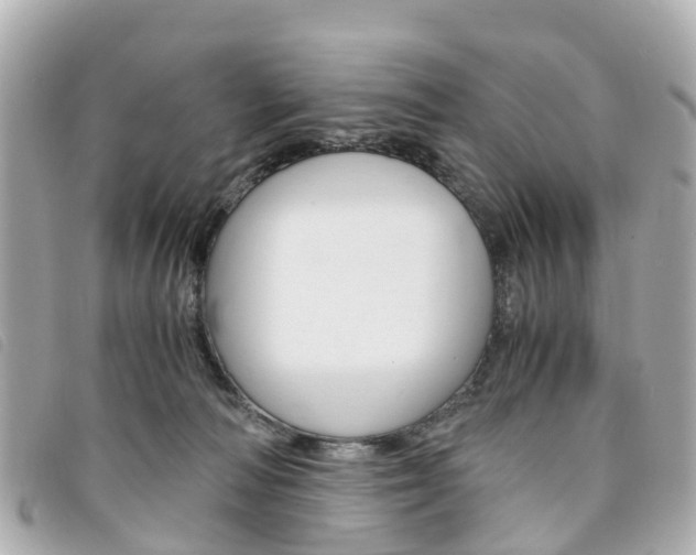 X0000094220226200710261000