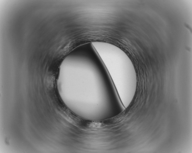 X0000094220227200710261000