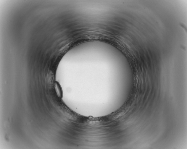 X0000094220228200710261000