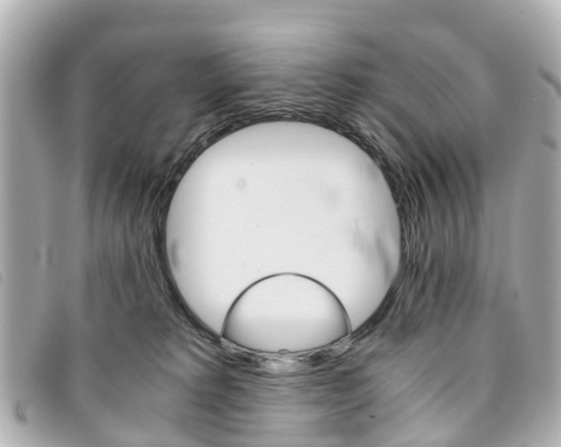 X0000094220229200710261000