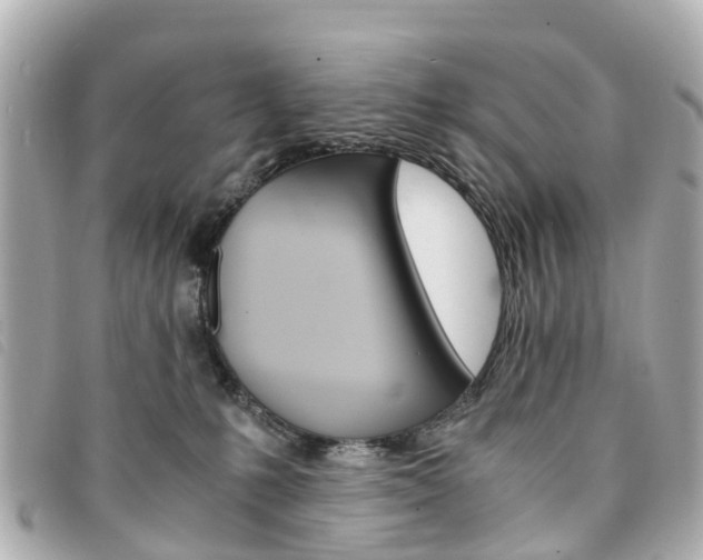 X0000094220231200710261000