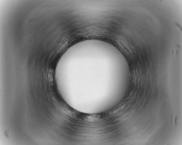 X0000094220232200710261000