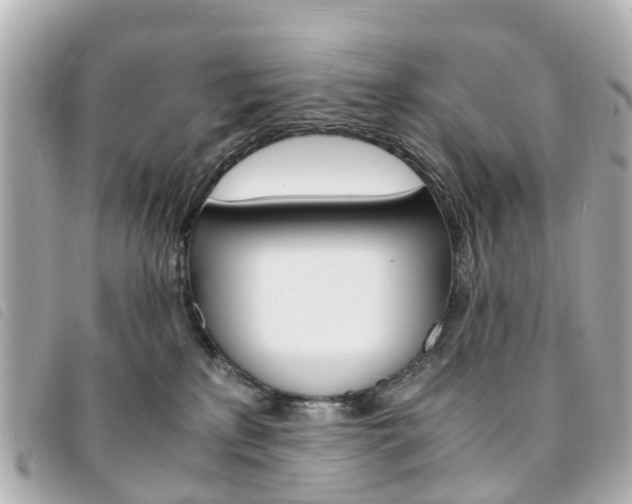 X0000094220233200710261000