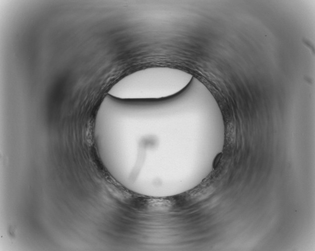X0000094220234200710261000
