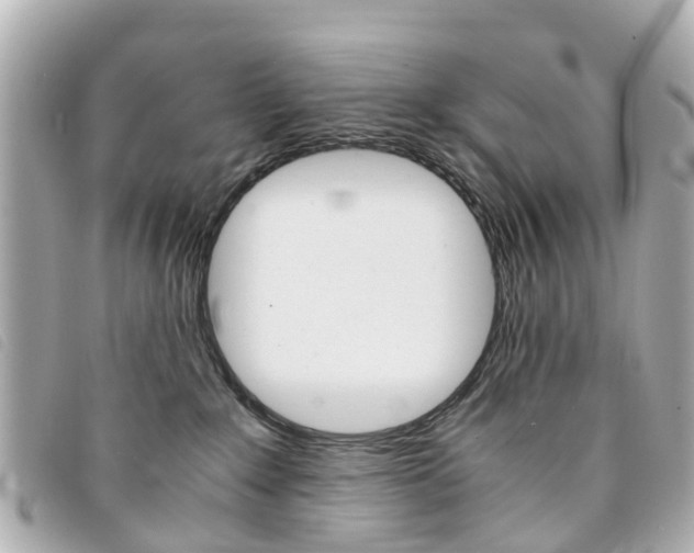 X0000094220235200710261000