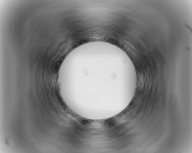 X0000094220236200710261000