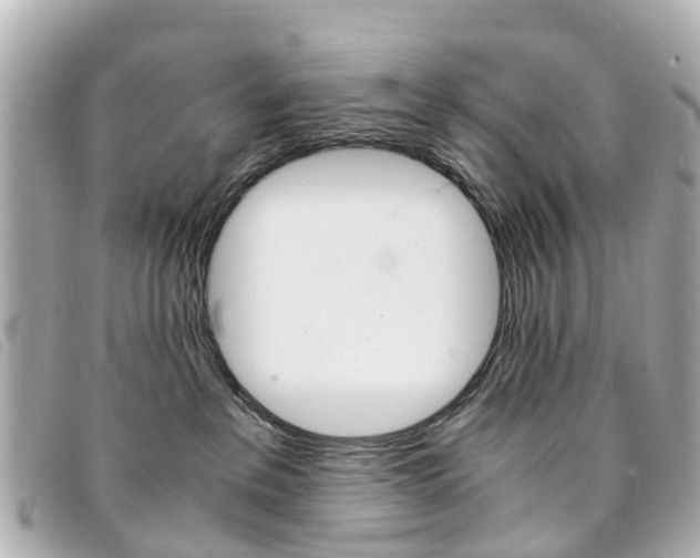 X0000094220237200710261000