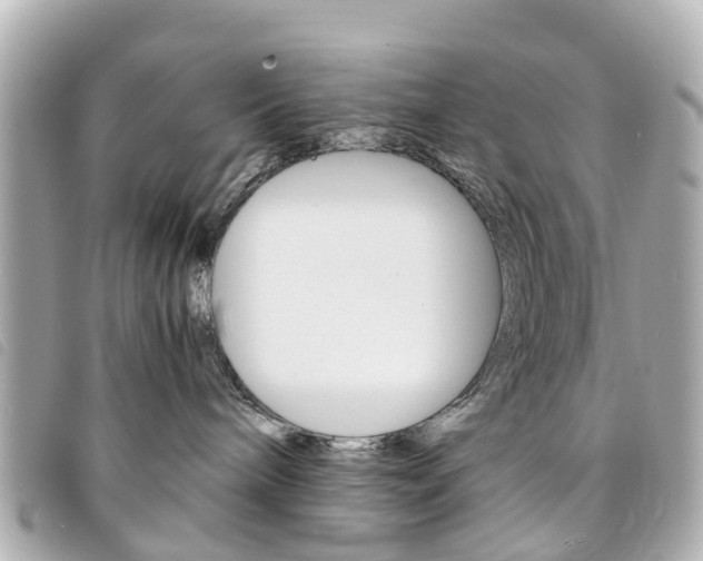 X0000094220240200710261000