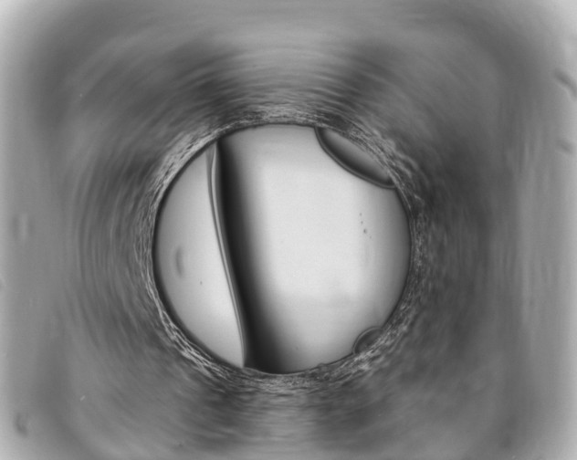 X0000094220241200710260959