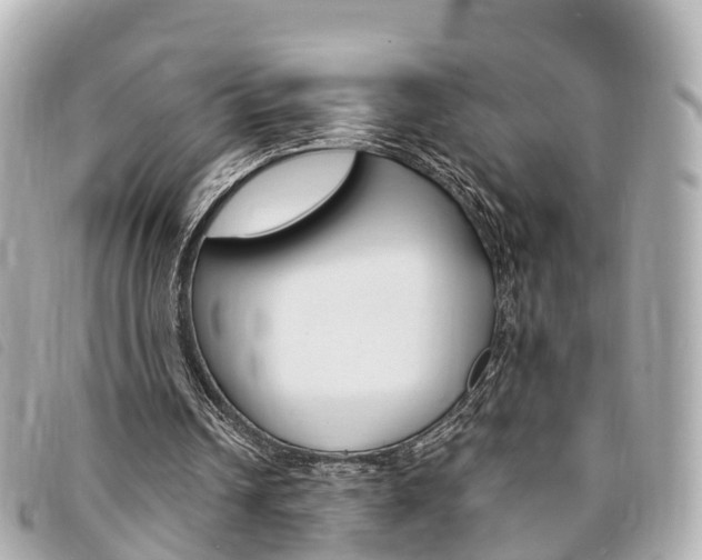 X0000094220242200710260959