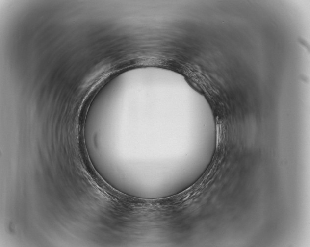 X0000094220243200710260959