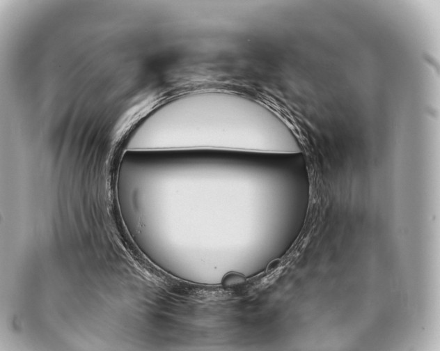 X0000094220245200710260959