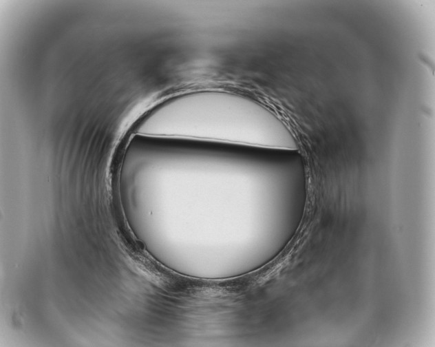 X0000094220246200710260959