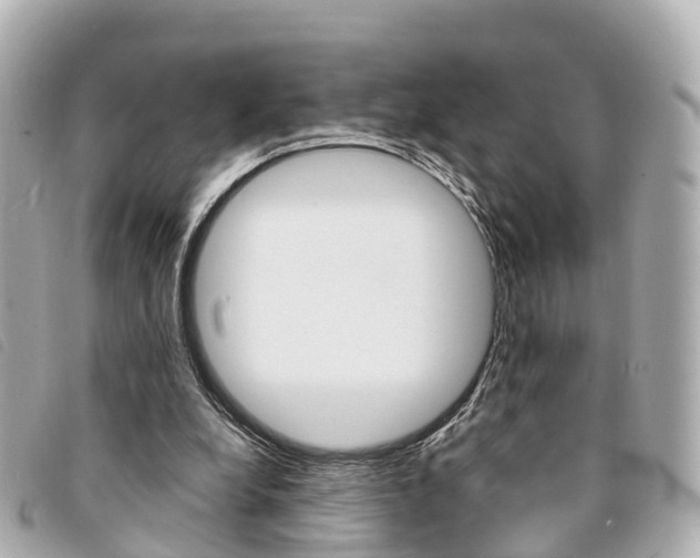 X0000094220248200710260959