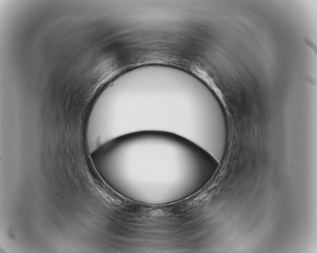 X0000094220249200710260959