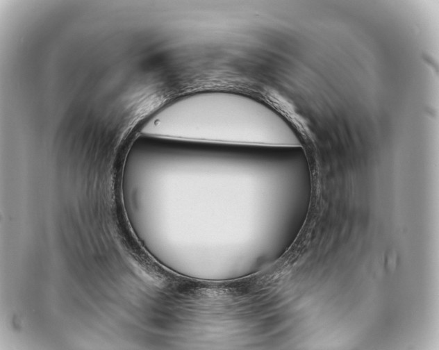 X0000094220250200710260959