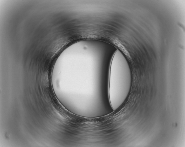 X0000094220251200710260959