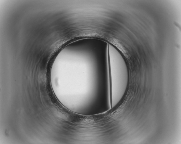 X0000094220252200710260959