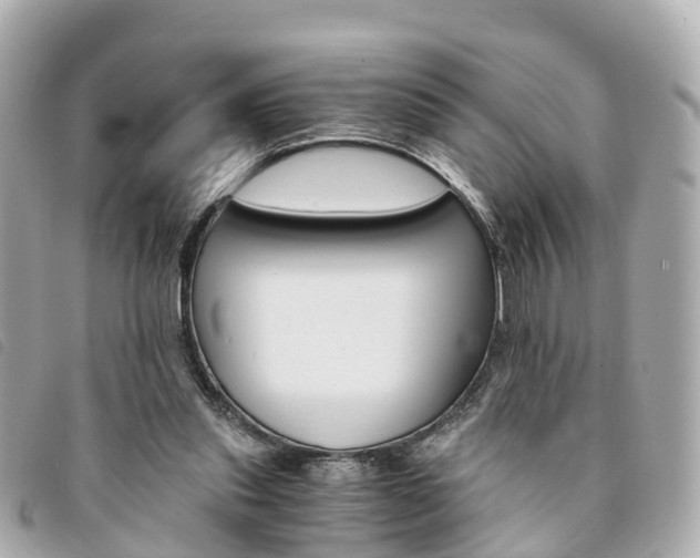 X0000094220253200710260959
