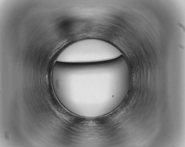 X0000094220254200710260959