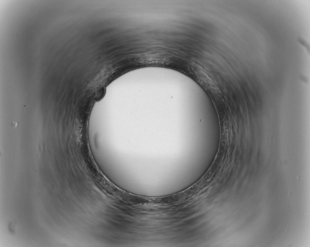 X0000094220255200710260959
