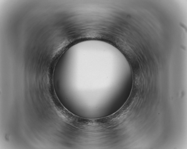 X0000094220256200710260959