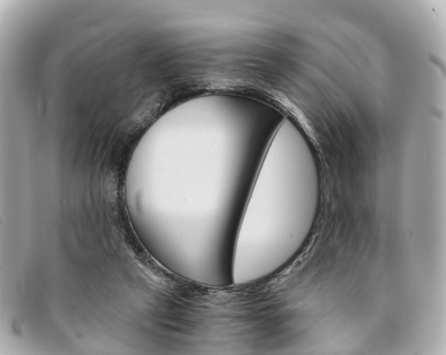 X0000094220257200710260959