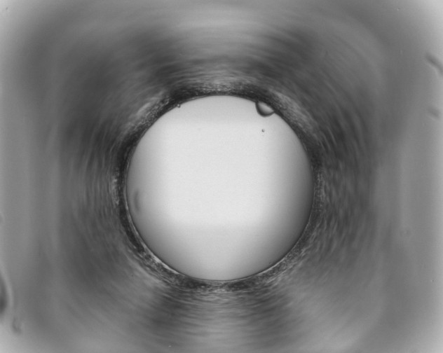 X0000094220258200710260959