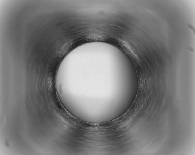 X0000094220259200710260959