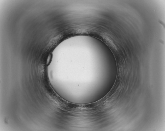 X0000094220260200710260959