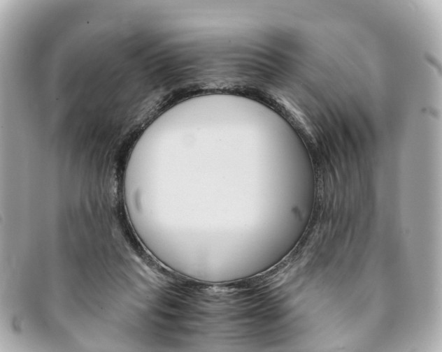 X0000094220261200710260959