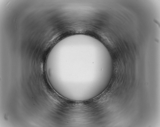 X0000094220262200710260959