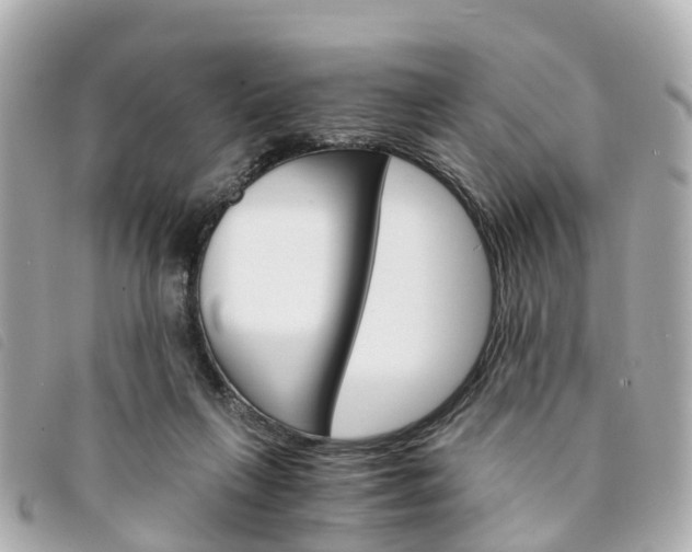 X0000094220263200710260959