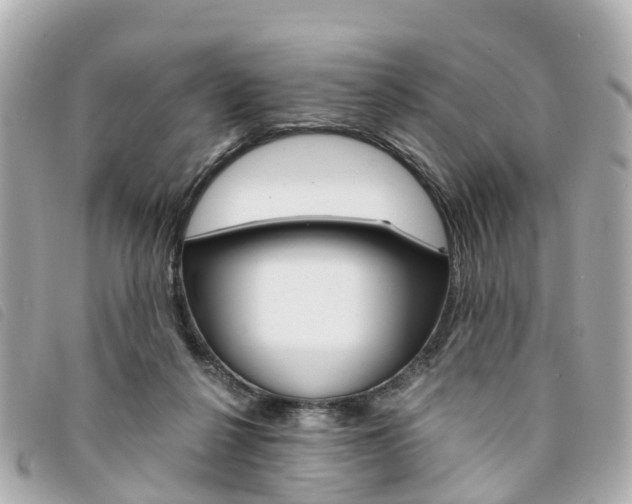 X0000094220264200710261000