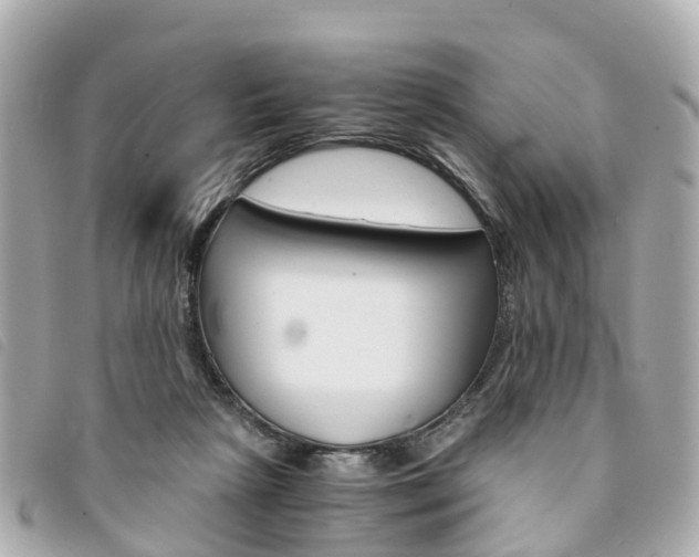 X0000094220265200710261000