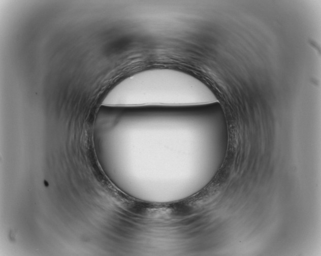 X0000094220266200710261000