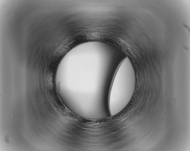 X0000094220267200710261000