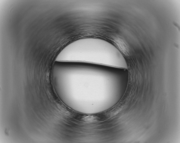 X0000094220269200710261000