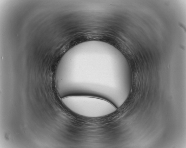 X0000094220271200710261000