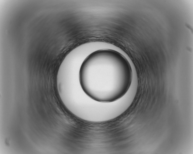 X0000094220272200710261000