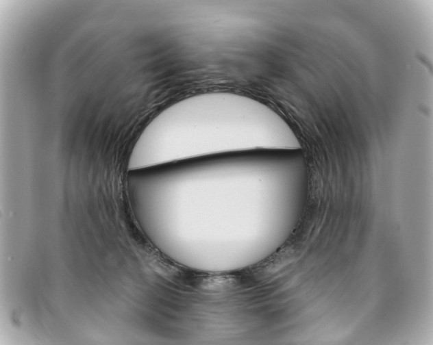 X0000094220274200710261000