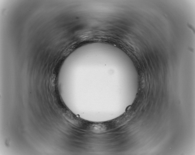 X0000094220275200710261000