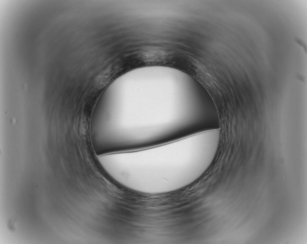 X0000094220277200710261000