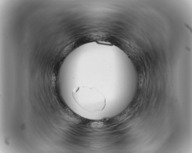 X0000094220279200710261000