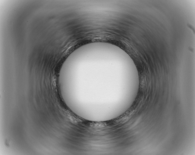 X0000094220282200710261000